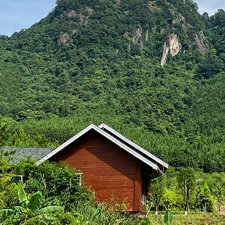 品牌vi設(shè)計公司案例作品授權(quán)書